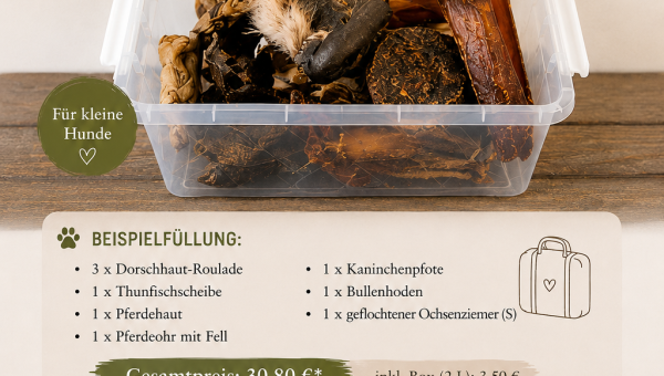 ☀️🐾 Neu bei Sammy &amp; Greta: Individuelle Urlaubsboxen für Hunde! 🐾☀️